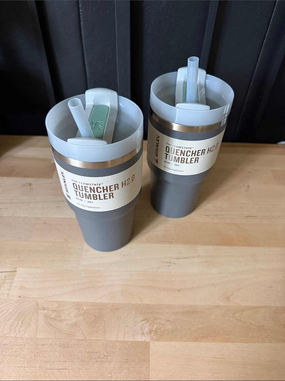 Stanley Gray Quencher H2.0 Tumbler Duo with Straw Lid